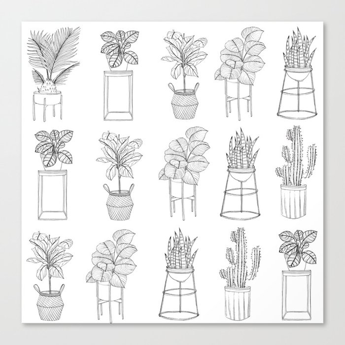 Houseplants Pattern Canvas Print