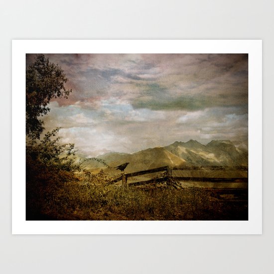 The Raven Sees Art Print