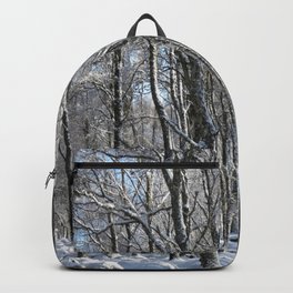 Snow Laden Birch Trees  Backpack