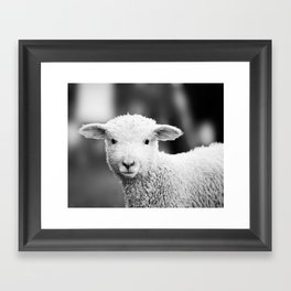 Lamb in Black and White Framed Art Print
