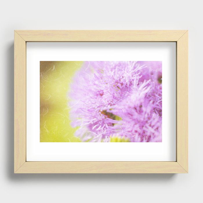 Lavender flower macro Recessed Framed Print