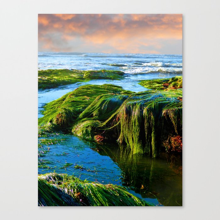 Afternoon LowTide Canvas Print