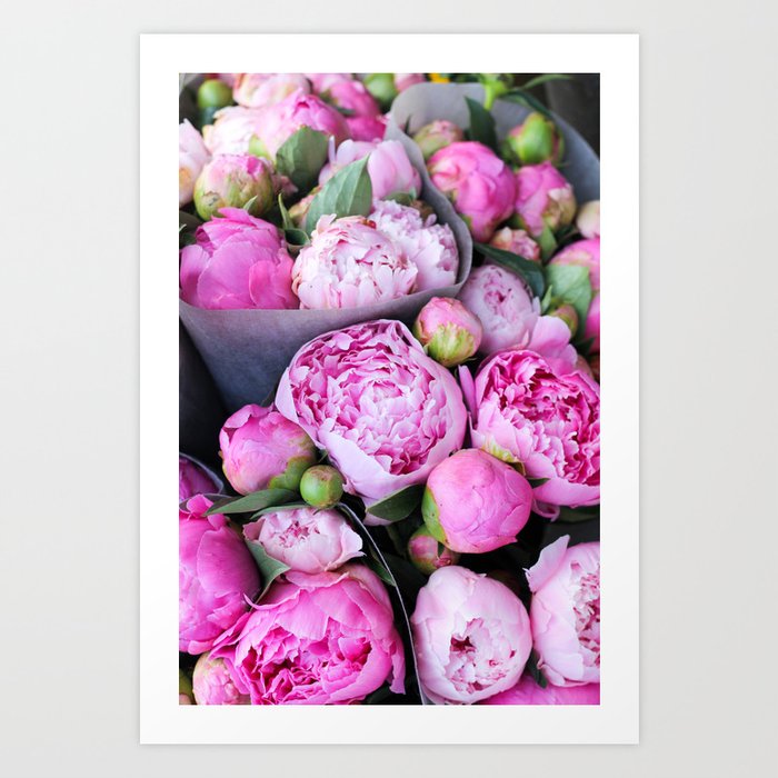 Pink Peonies on a Swiss Summer Day Art Print