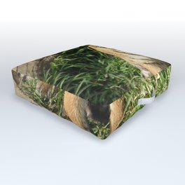 Young Tiger Outdoor Floor Cushion