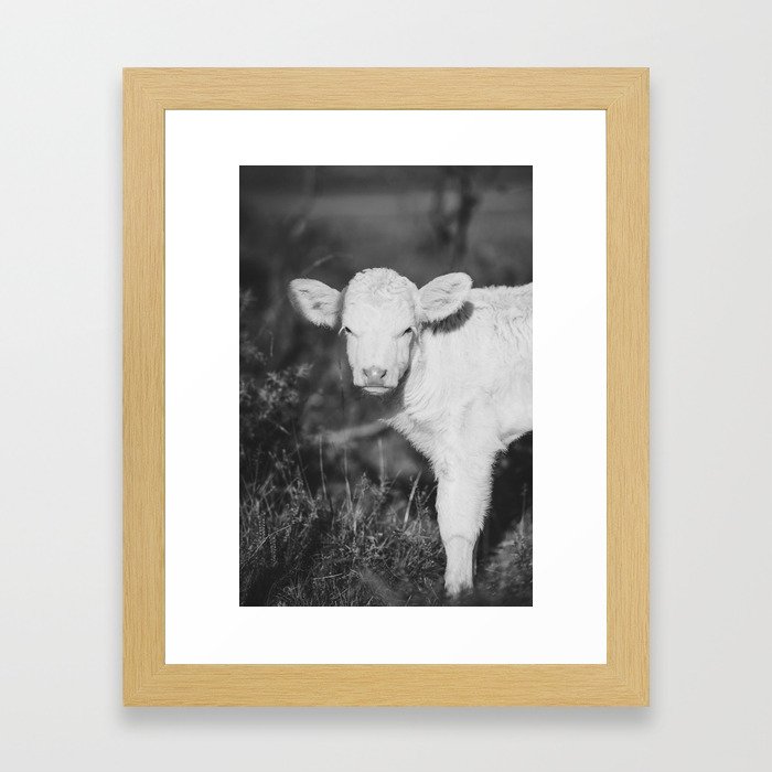Cute Calf (Black and White) Framed Art Print
