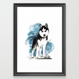 Siberian Husky Framed Art Print