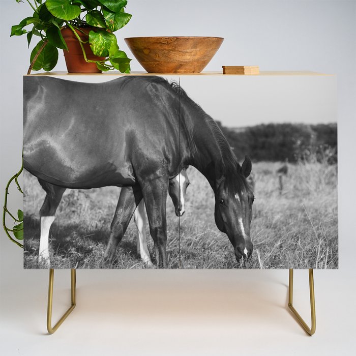 Horse with Foal in Texas Field Credenza