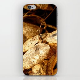 Autumn Hydrangea iPhone Skin