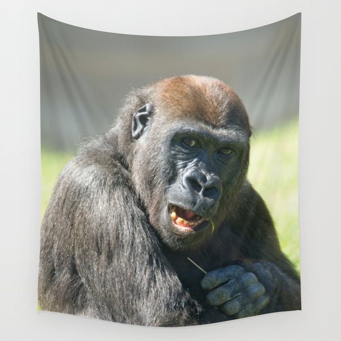 Gorilla tapestry shop