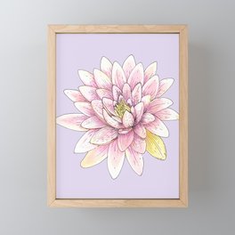 Pink Lotus Flower Framed Mini Art Print