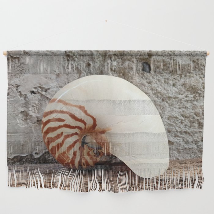 Seashell Series (No. 1) Wall Hanging