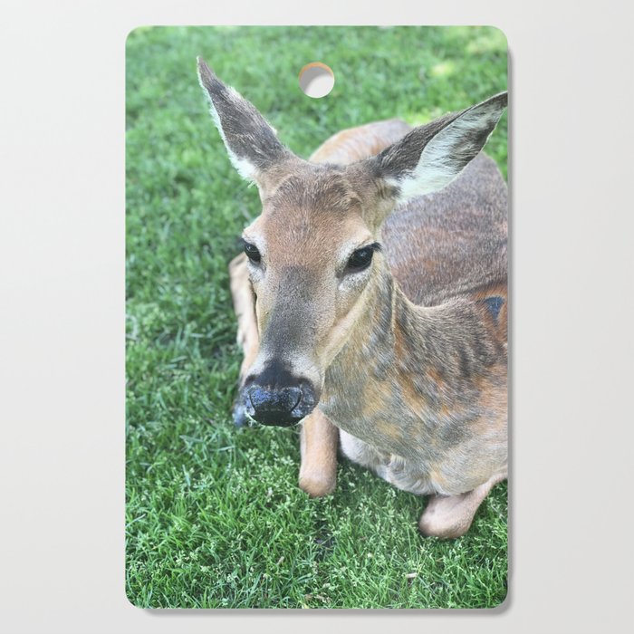 Deer sitting in grass, Minneapolis photography series, no. 5 Cutting Board