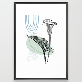 Calla lily  Framed Art Print