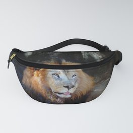 African Lion Panthera Leo Fanny Pack