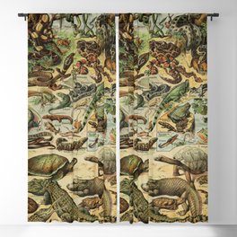 Reptiles by Adolphe Millot Blackout Curtain