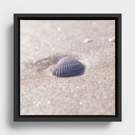 Seashell on a french summer beach - coastal nature and travel photography Framed Canvas