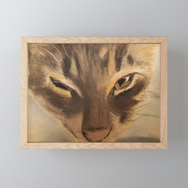 Sleepy Cat Framed Mini Art Print