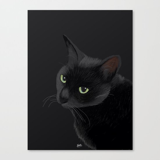 Black cat in the dark Canvas Print