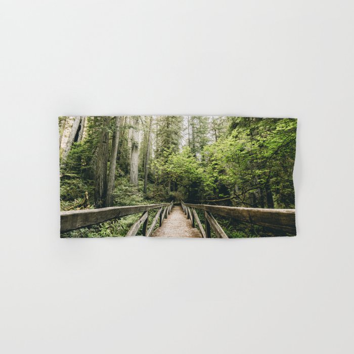 Forest Meditation - Redwood National Park Hiking Hand & Bath Towel
