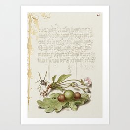 Calligraphic poster with fruit and  flowers Art Print