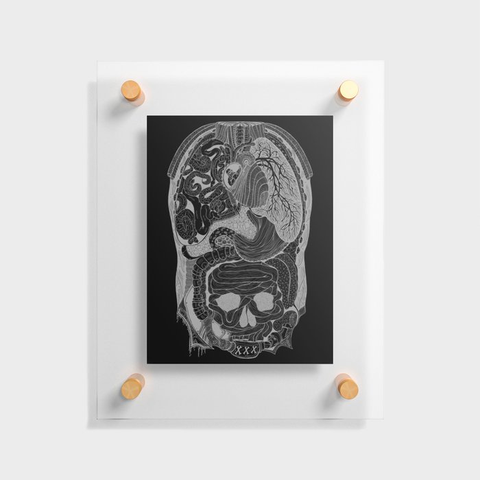 Gross Anatomy (variant) Floating Acrylic Print