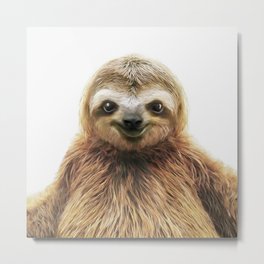 Young Sloth Metal Print