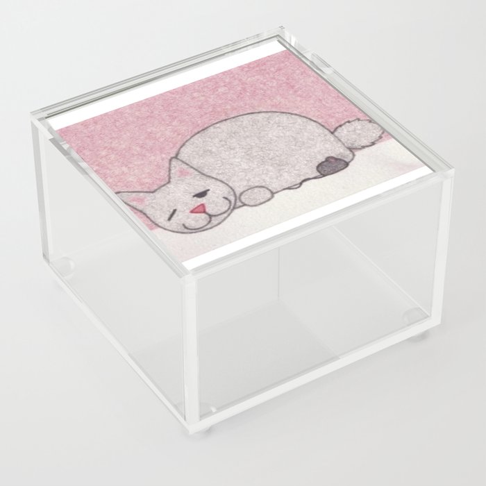 Lazy Cat Acrylic Box