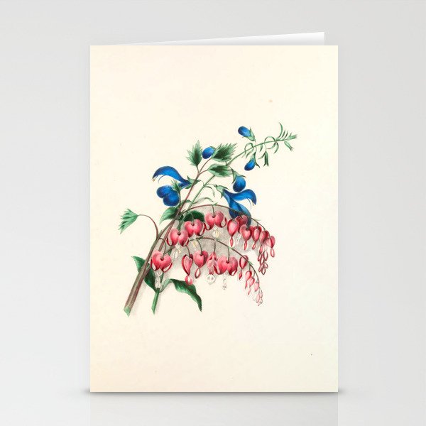  Salvia and dielytra flowers by Clarissa Munger Badger, 1866 (benefitting The Nature Conservancy) Stationery Cards