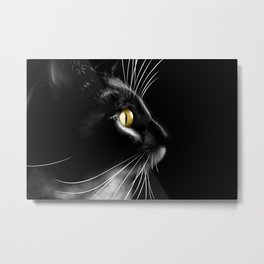 Portrait of a cool cat Metal Print