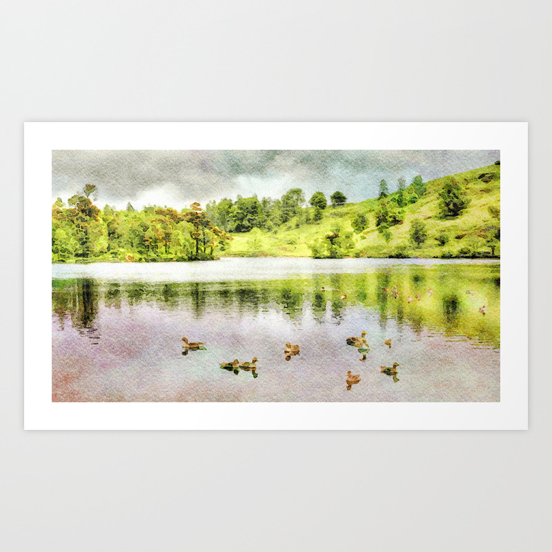 Ducks On The Water Lake District Cumbria Uk Watercolor