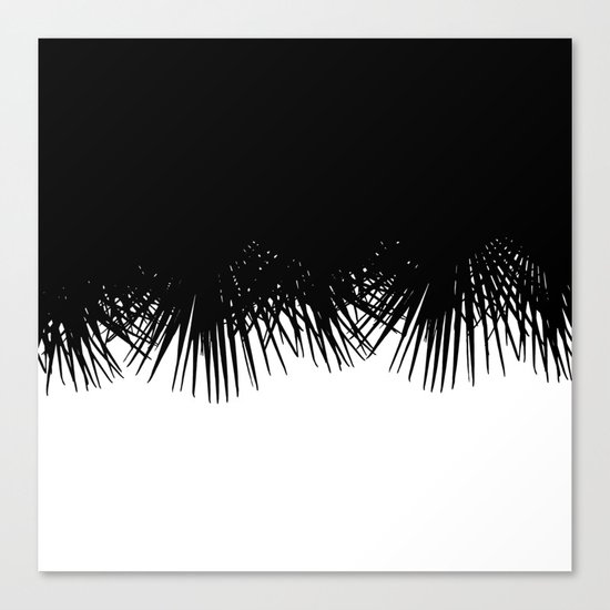 Fan Palm Canvas Print