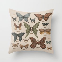 Butterflies and Moth Specimens Throw Pillow