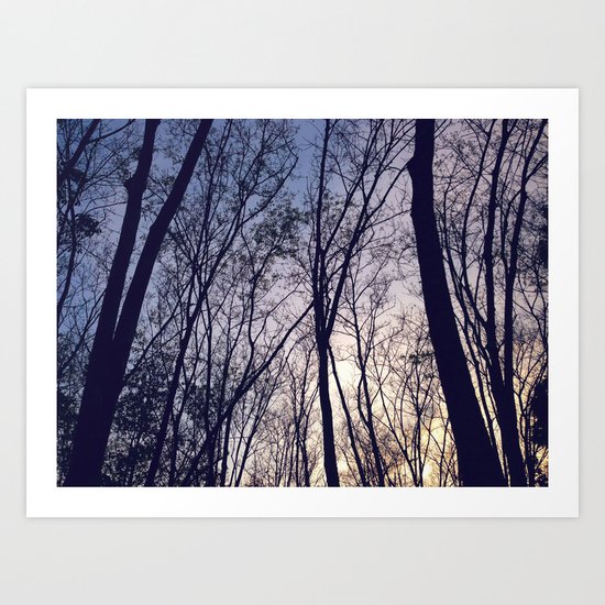 Mystique Forest Art Print