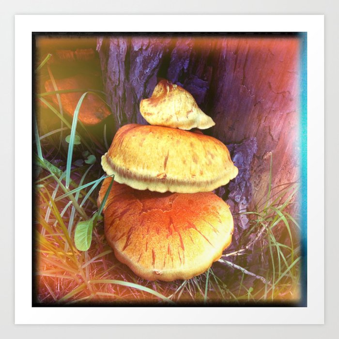 Mushroom 1 Art Print