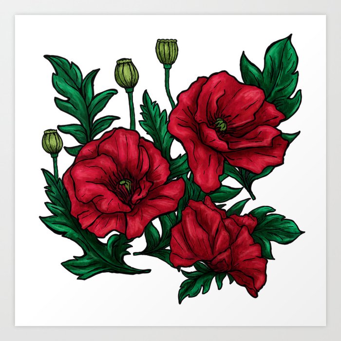 Hand-drawn poppies flowers, red and green floral art on white  Art Print