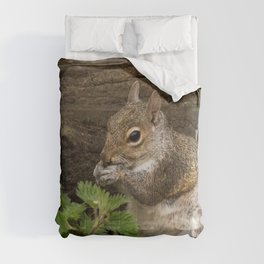 squirrel woodland animal Comforter