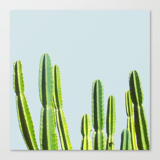 Cactus Canvas Print