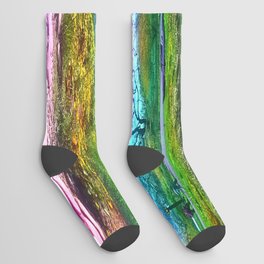 Colorful Scenic Nature of Springtime Socks