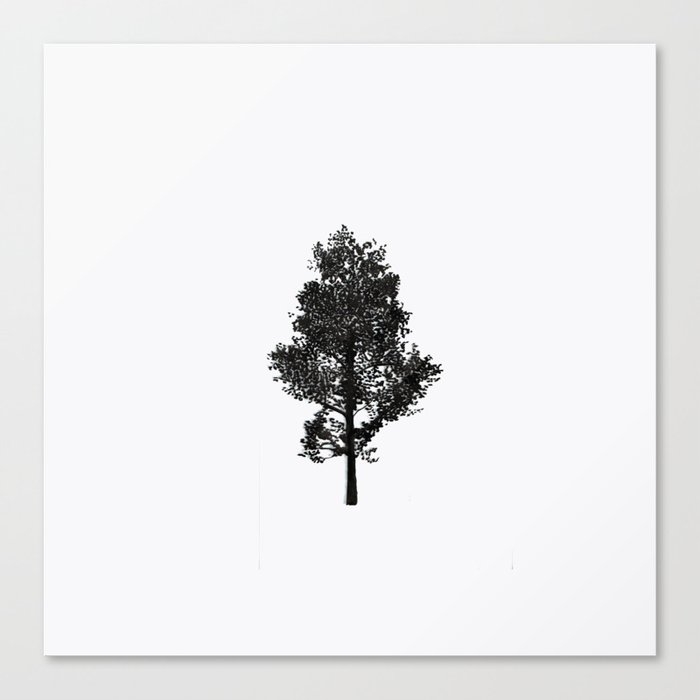 Magic Trees Canvas Print