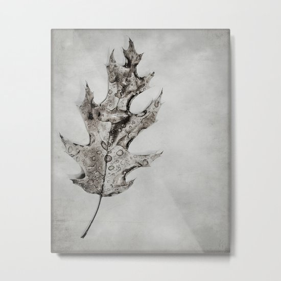 portrait Metal Print