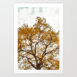 Yellow Tree Art Print