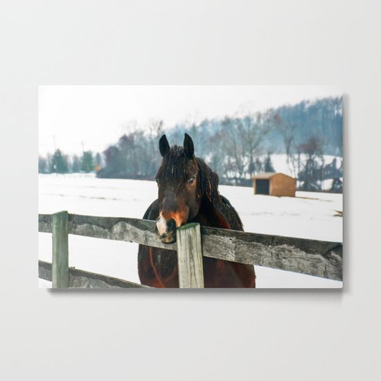 Thoughtful Horse Metal Print