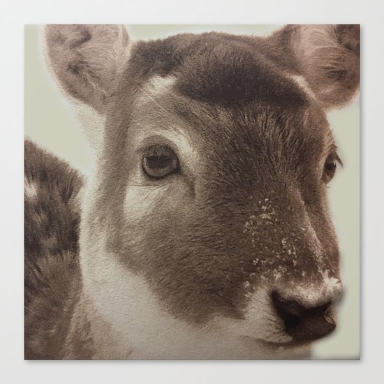 Deer Canvas Print