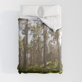 Early Summer Woodland in the Scottish Highlands Comforter