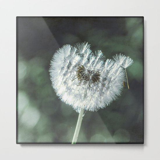 ready Metal Print