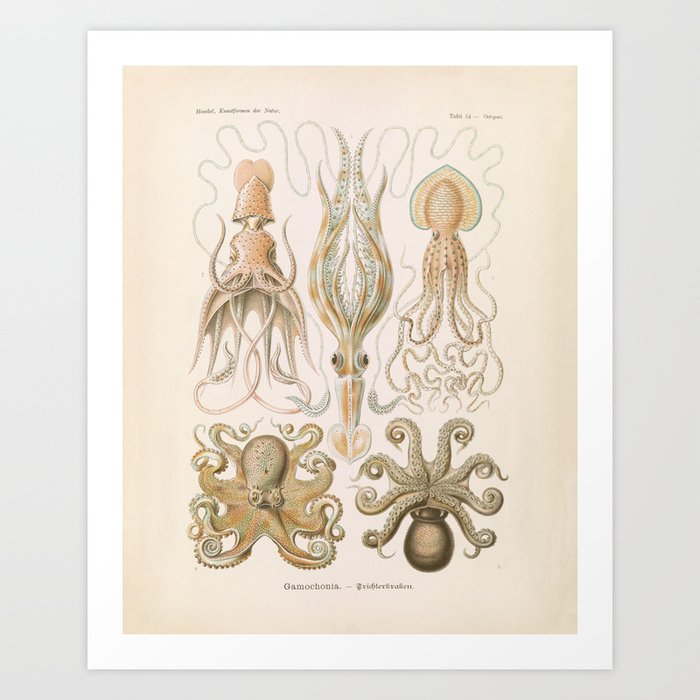 Art Print