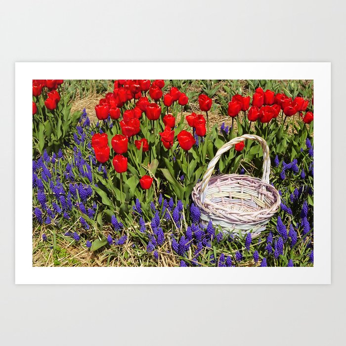 Tulip basket Art Print