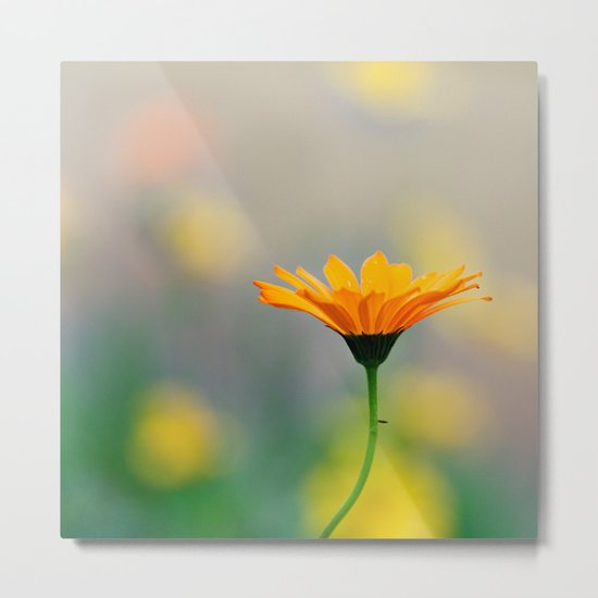 Simplicity Metal Print