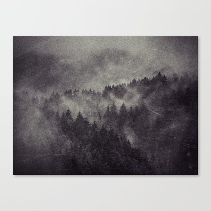 Excuse me, I’m lost Canvas Print