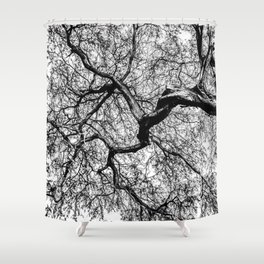 Tree Distributary Shower Curtain